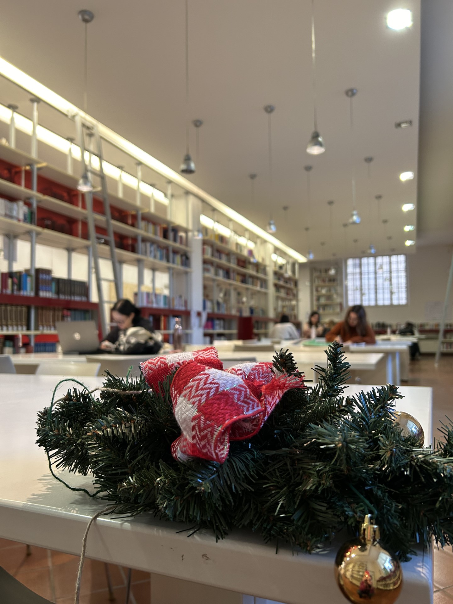 Biblioteche di ateneo | Festività natalizie 
